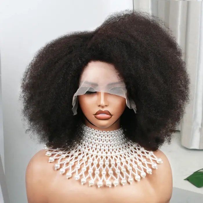 Afro Kinky Curly Lace Wig for Women