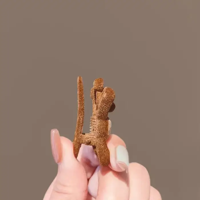 Pinces à cheveux latérales exquises et compactes