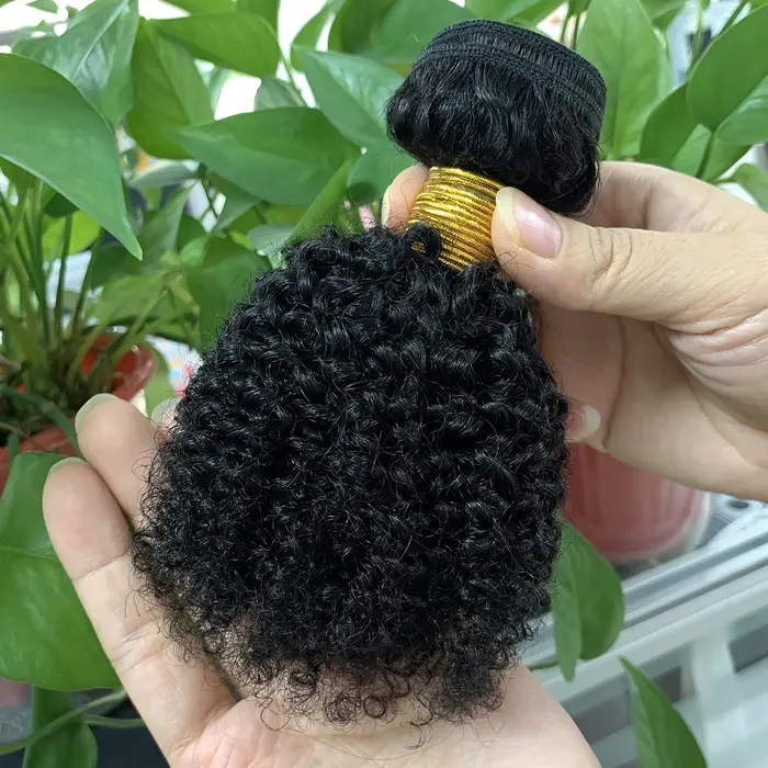 1/3 Afro crépus bouclés paquets brésiliens