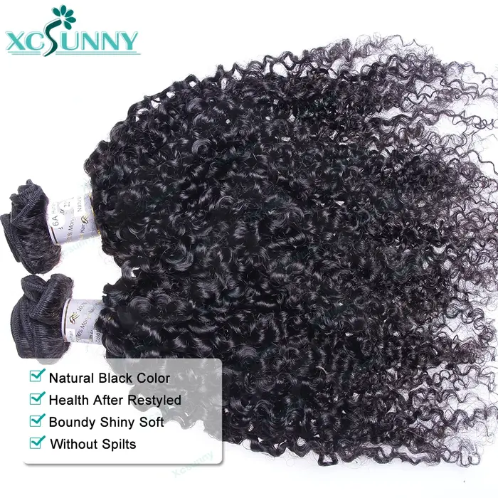 Bundles Kinky Curly Extensions de Cheveux Humains pour Femmes Noires