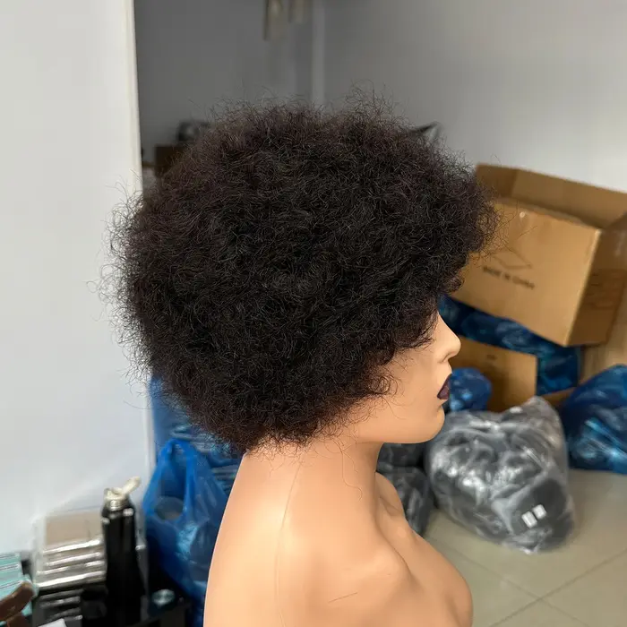 Perruques en cheveux humains afro bouclés pour femmes noires