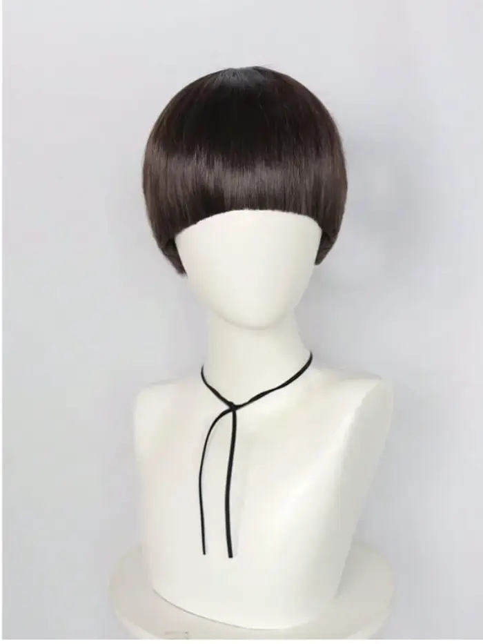 Perruque de cosplay courte brune pour hommes