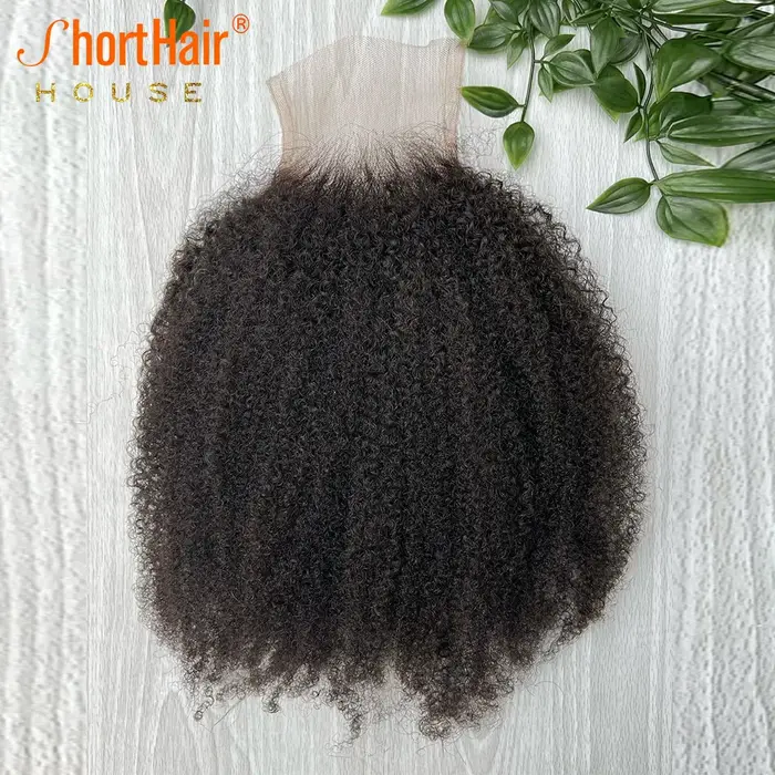 Afro crépus bouclés cheveux humains brésilien 4x4 5x5 HD dentelle fermeture