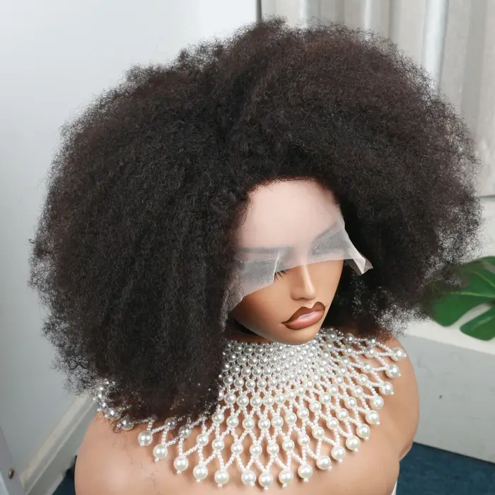 Afro Kinky Curly Lace Wig for Women