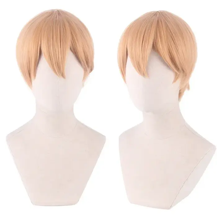 Shirogane Miyuki cosplay perruque Anime Kaguya sama Love is War Cosplay perruques hommes halloween 3