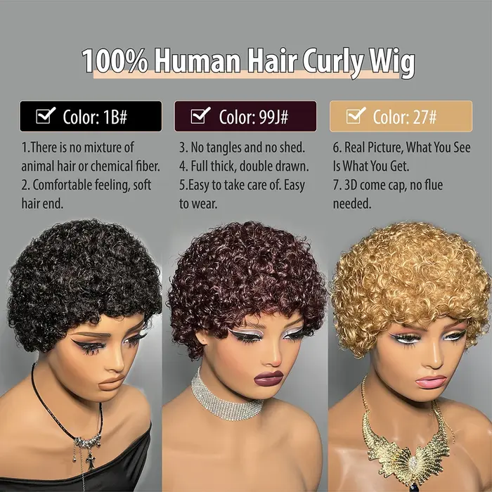 Kinky Curly Human Hair Wigs for Women
