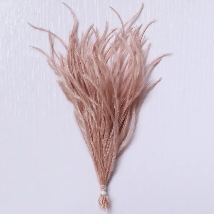 Plumes d'autruche naturelles à Clip