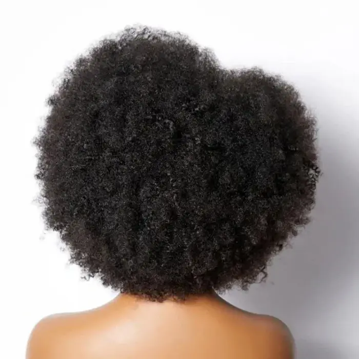 Perruques Afro à 250 % de densité pour femmes noires, perruque courte bouclée frisée avec dentelle f