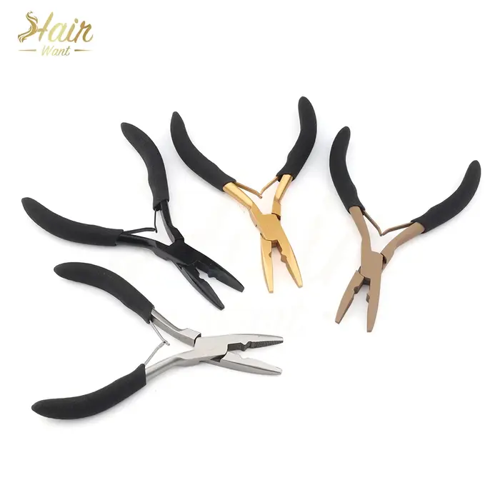 Hair Want – pince d'extension de cheveux