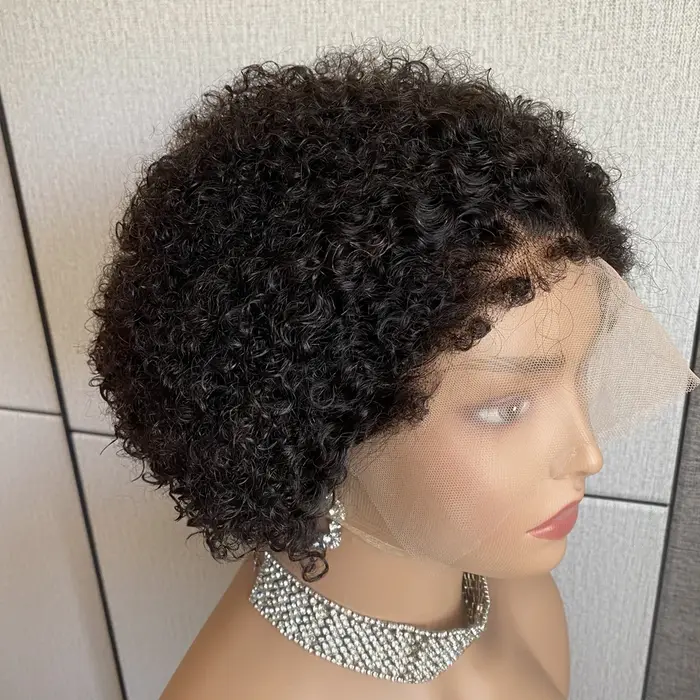 Kinky Curly Hair Wig, Natural Hairline
