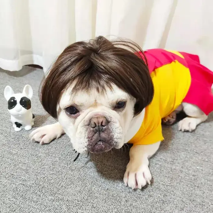 NONOR-Perruques pour animaux de compagnie, accessoires de cosplay, chapeau en élasthanne croisée, olympiques amusants, accessoires de tête pour chiens et chats, fournitures de Noël Halloowen
