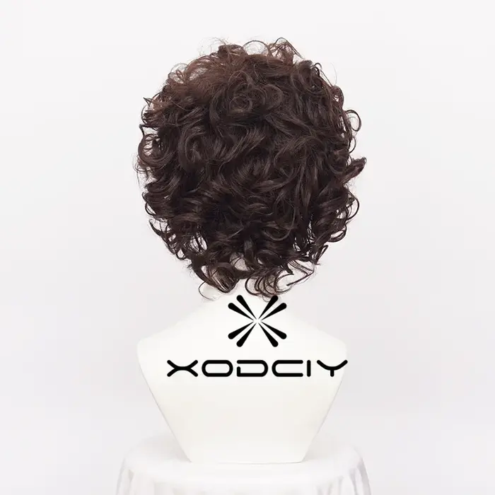 Frodo Baggins Cosplay perruque marron court bouclés résistant à la chaleur cheveux synthétiques jeu de rôle perruques +