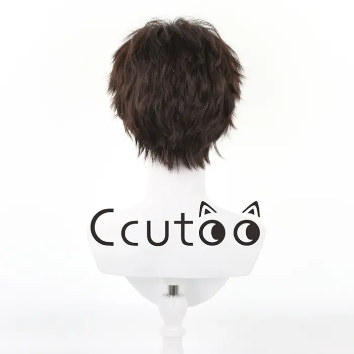 Perruque de Cosplay pour hommes