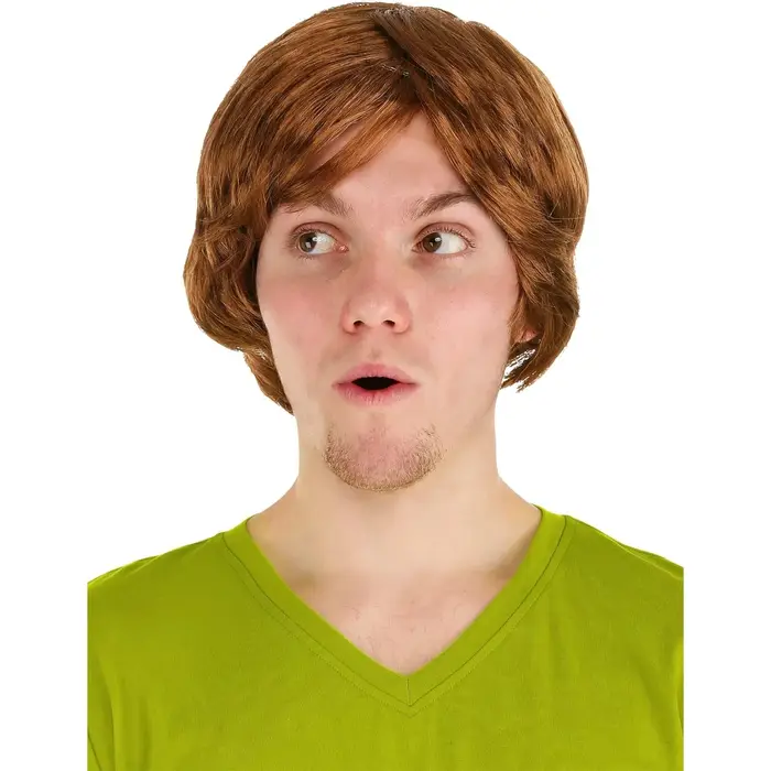 Perruque shaggy pour homme, perruques amusantes des années 70 pour hommes, pour costumes de discothèque, perruque courte brune pour les fêtes d'Halloween des années 60