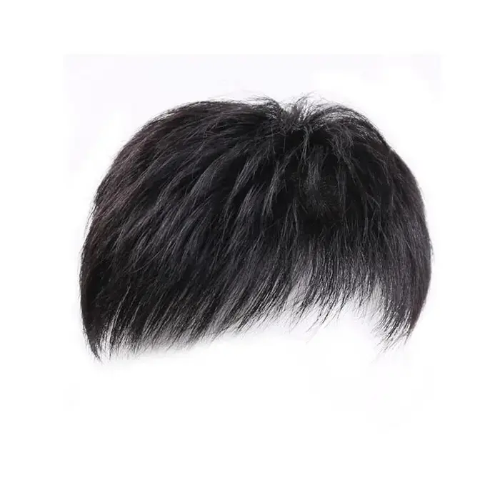 Perruque synthétique pour hommes avec cheveux courts