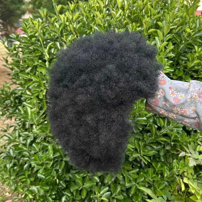 Perruques Afro pour femmes noires 14 pouces années 70