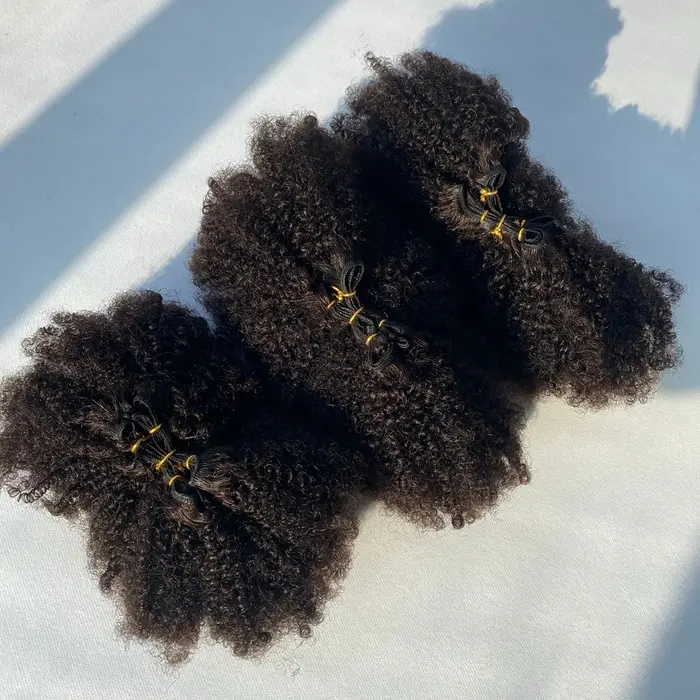 Paquets de cheveux humains bruts vierges moelleux Afro crépus bouclés Extensions de tissage de cheveux humains Afro bouclés 4b 4c paquets brésilien Double trame