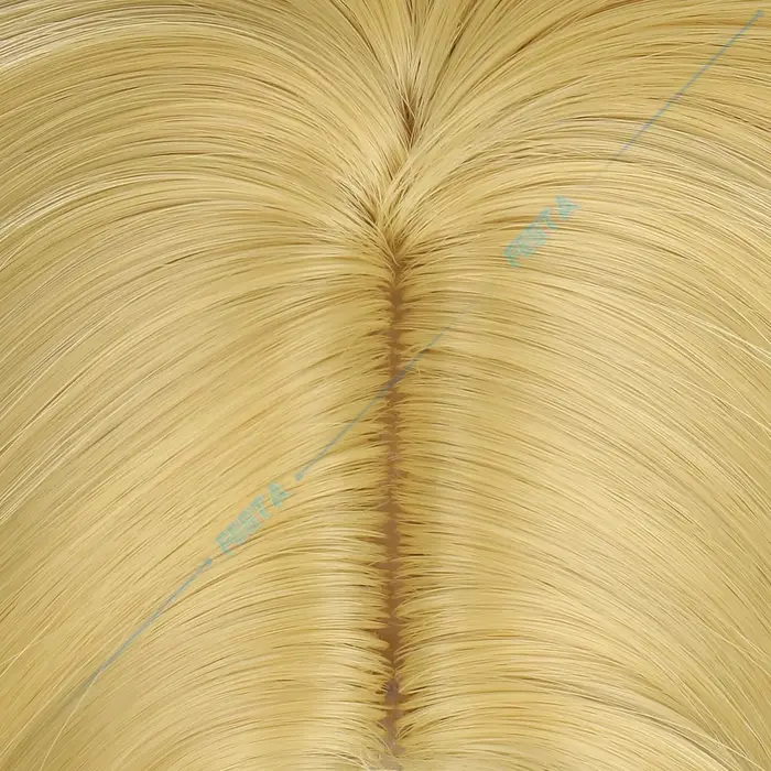 Perruque de cosplay Johnny Joestar Steel Ball Run JOJO SBR