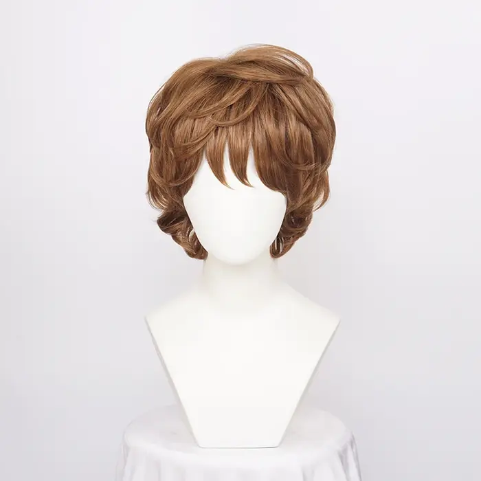 Perruques Cosplay synthétiques courtes et bouclées pour hommes