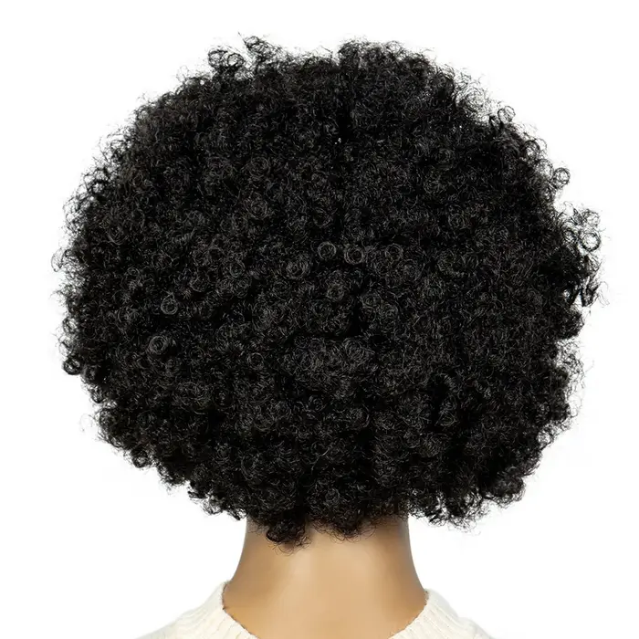 Perruque Afro crépue bouclée, perruques tressées courtes de 6 pouces pour femmes noires, perruques s