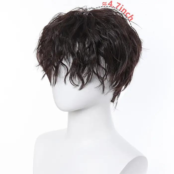  Perruque synthétique frisée crépue pour homme