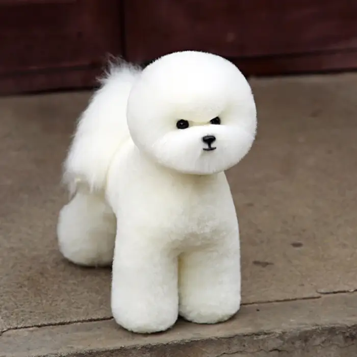 Perruque de cheveux complets Bichon pour la pratique du toilettage
