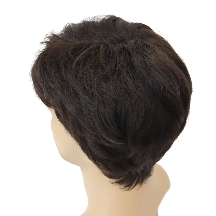 Perruque synthétique pour hommes