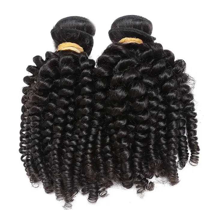 Perruque Afro Kinky Curly Spring Roll