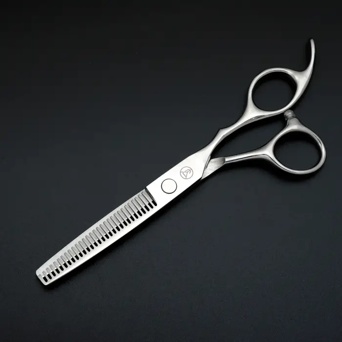 Ensemble de ciseaux de coiffure professionnels, ciseaux de coiffure en acier inoxydable japonais arg