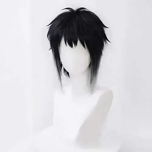 Perruque de cosplay Akutagawa Ryunosuke pour hommes